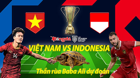 Thần rùa dự đoán AFF Cup 2022: Việt Nam vs Indonesia