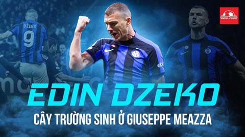 Edin Dzeko: Cây trường sinh ở Giuseppe Meazza