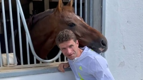 Thomas Muller được khen ‘chung tình’ với... ngựa
