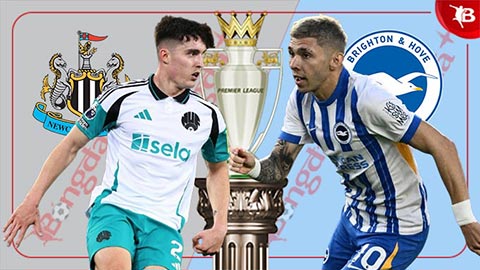 Nhận định bóng đá Newcastle vs Brighton, 21h00 ngày 19/10: Bệ phóng St. Jame's Park