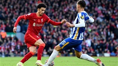 Trực tiếp Liverpool vs Brighton, 22h00 ngày 2/11