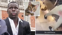 Trung vệ mất nghiệp vì 'đá con mèo' trong tầm ngắm Valencia