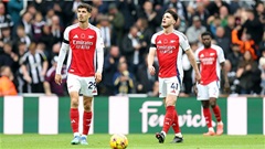 Ở Arsenal có ruồi không?