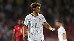 Trực tiếp Armenia 0-1 Bồ Đào Nha: Joao Felix mở tỷ số