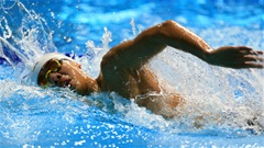 Giới thiệu môn Thể thao dưới nước SEA Games 33