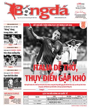 Số báo 313 (1976)