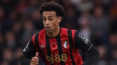 Vì sao Tyler Adams xứng đáng là số 6 lý tưởng của MU?