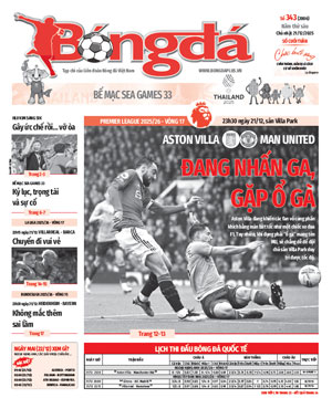 Số báo 343 (2006)