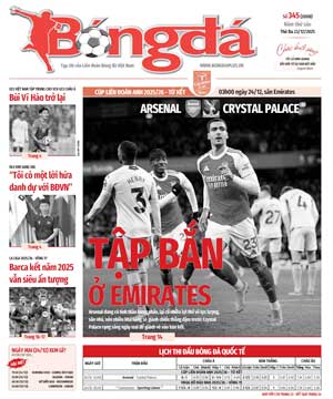 Số báo 345 (2008)