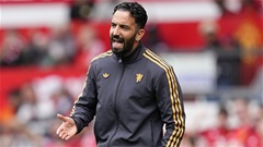 Nhìn thấy gì chưa, Amorim?