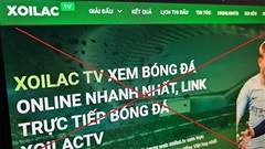 30 bị can trong hệ thống 'Xôi Lạc TV' bị khởi tố, lộ diện 2 đối tượng chủ mưu 