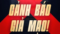 Liên đoàn Võ thuật tổng hợp Việt Nam và LION Championship cảnh báo hành vi giả mạo