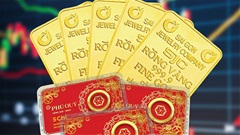 Giá vàng hôm nay 25/4/2026: SJC DOJI PNJ cập nhật sớm nhất