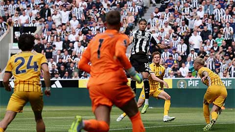 Thắng thuyết phục Brighton, Newcastle cắt chuỗi trận thua liên tiếp