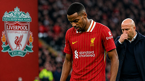 Liverpool mất trụ cột vì chấn thương trước đại chiến với MU
