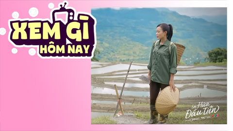 Lịch truyền hình, lịch phim chiếu rạp ngày 14/5: ‘Lời hứa đầu tiên’ - Hải Đăng thả thính Vi Minh