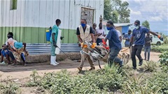 World Cup 2026 lo ngại dịch Ebola ở CHDC Congo