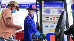 Giá xăng dầu chiều 24/5: Dầu diesel áp sát 29.000 đồng/lít, xăng E10 duy trì mức thấp