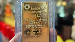 Giá vàng, tỷ giá ngoại tệ hôm nay 31/5: Vàng trong nước và thế giới bật tăng