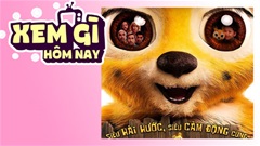 Lịch truyền hình, lịch phim chiếu rạp ngày 4/6: ‘Siêu Quậy Marsupilami’ đến rạp Việt sau khi 'oanh tạc' phòng vé Pháp