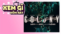 Lịch truyền hình, lịch phim chiếu rạp ngày 14/6: ‘Bầy Xác Sống’ - Cuộc chiến sinh tồn trong cao ốc chết chóc