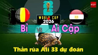 Thần Rùa Ali 33 dự đoán: Bỉ vs Ai Cập (Vòng bảng World Cup 2026)