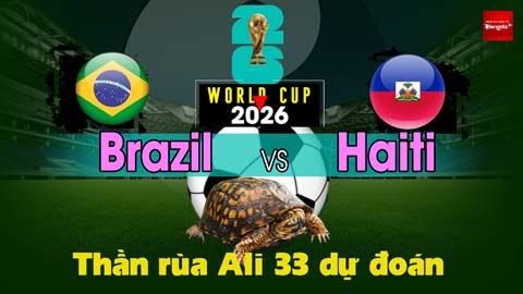 Thần Rùa Ali 33 dự đoán: Brazil vs Haiti (Vòng bảng World Cup 2026)