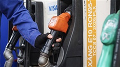 Giá xăng dầu chiều 19/6: Xăng E10 RON95 tiến sát mốc 20.000 đồng/lít