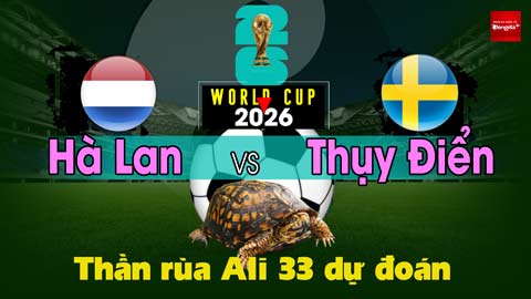 Thần Rùa Ali 33 dự đoán: Hà Lan vs Thụy Điển (Vòng bảng World Cup 2026)