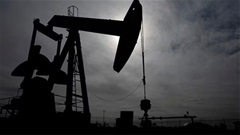 Giá xăng dầu hôm nay 20/6: Bảng giá xăng dầu tại Petrolimex, PVOIL, Mipec, Thalexim