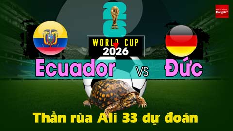 Thần Rùa Ali 33 dự đoán: Ecuador vs Đức (Vòng bảng World Cup 2026)