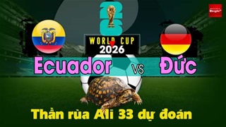 Thần Rùa Ali 33 dự đoán: Ecuador vs Đức (Vòng bảng World Cup 2026)