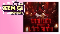 Lịch truyền hình, lịch phim chiếu rạp ngày 28/6: 'Minh Hôn Trong Lồng Bướm - bí mật đen tối của một gia tộc