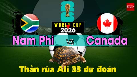 Thần Rùa Ali 33 dự đoán: Nam Phi vs Canada (Vòng 1/16 World Cup 2026)