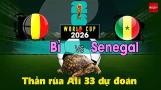 Thần Rùa Ali 33 dự đoán: Bỉ vs Senegal (Vòng 1/16 World Cup 2026)
