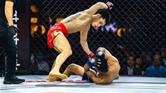 LION Championship 33 sẽ có 'Dog fight' thương hiệu Việt