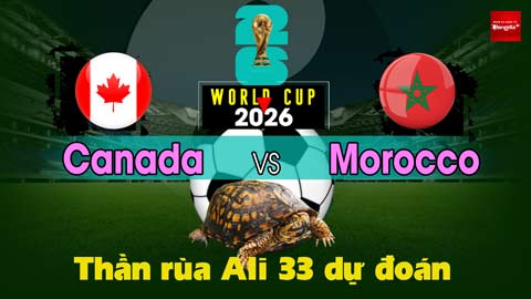 Thần Rùa Ali 33 dự đoán: Canada vs Morocco (Vòng 1/8 World Cup 2026)