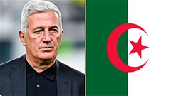Algeria sa thải HLV Vladimir Petkovic sau World Cup 2026