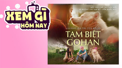 Lịch truyền hình, lịch phim chiếu rạp ngày 9/7: 'Tạm Biệt Gohan' - Chữa lành kiểu Nhật