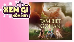 Lịch truyền hình, lịch phim chiếu rạp ngày 9/7: 'Tạm Biệt Gohan' - Chữa lành kiểu Nhật