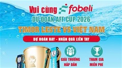 Dự đoán AFF Cup 2026: Timor Leste vs Việt Nam