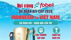 Dự đoán AFF Cup 2026: Indonesia vs Việt Nam