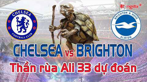 Dự đoán tỷ số Chelsea vs Brighton: Thần Rùa Ali 33 chọn đội nào?