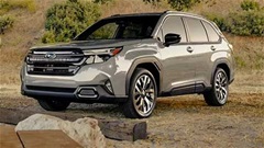 Subaru Forester Hybrid: SUV tiền tỷ từ quê hương Takefusa Kubo sắp đổ bộ Việt Nam
