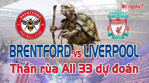 Dự đoán tỷ số Brentford vs Liverpool: Thần Rùa Ali 33 chọn đội nào?