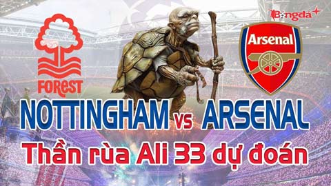 Dự đoán tỷ số Nottingham vs Arsenal: Thần Rùa Ali 33 chọn đội nào?